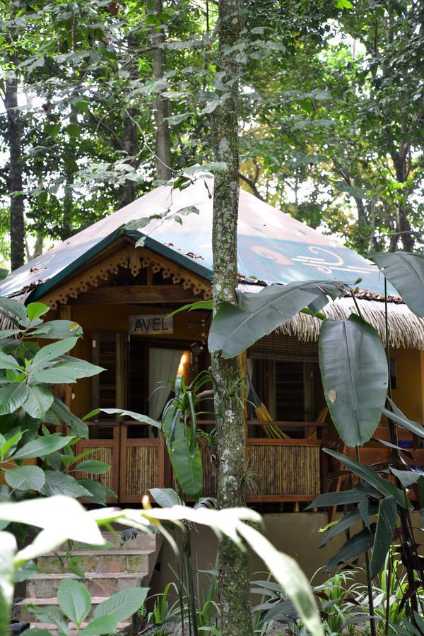 Korrigan Lodge 까위따 객실 사진